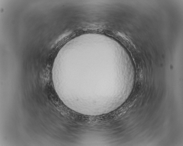 X0000062881350200602031731