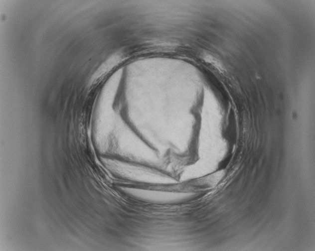 X0000062881354200602031731