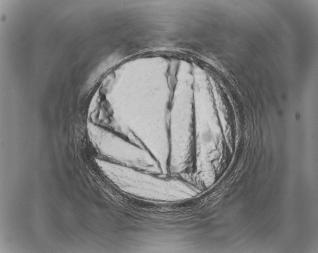 X0000062881359200602031731
