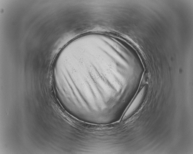 X0000062881367200602031731