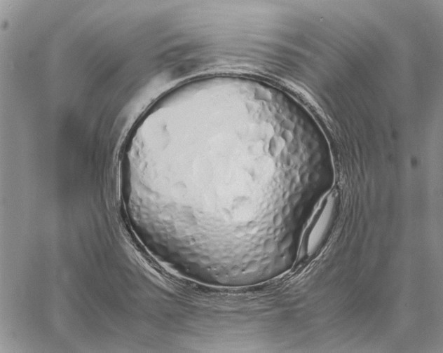 X0000062881371200602031731