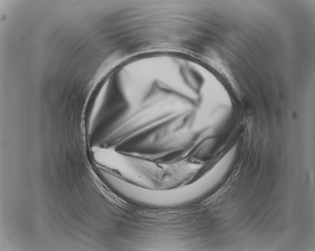 X0000062881372200602031731