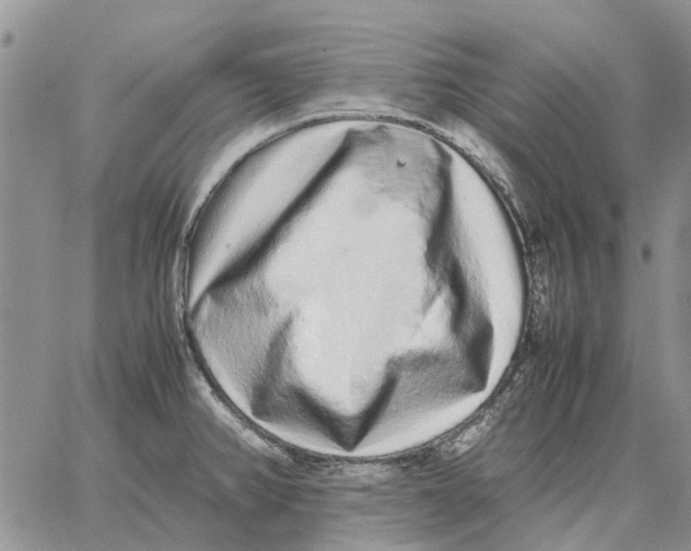 X0000062881382200602031731