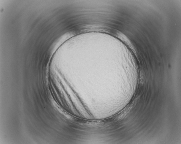 X0000062881386200602031731