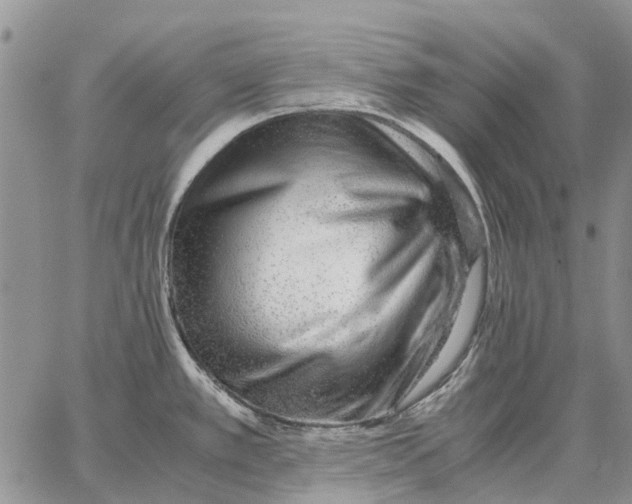 X0000062881389200602031731