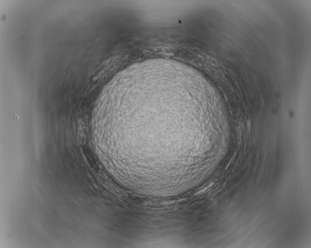 X0000062881397200602031730