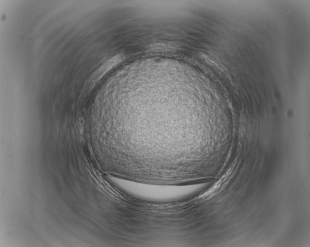 X0000062881401200602031730