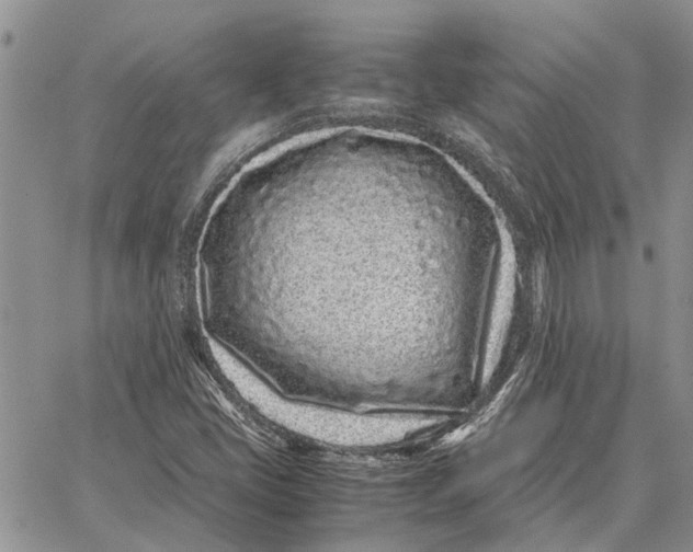 X0000062881405200602031730