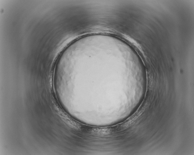 X0000062881415200602031730