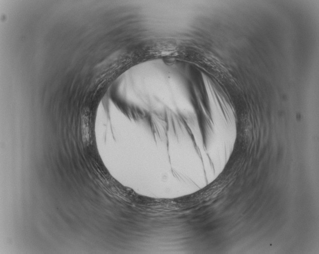 X0000062881442200602031730