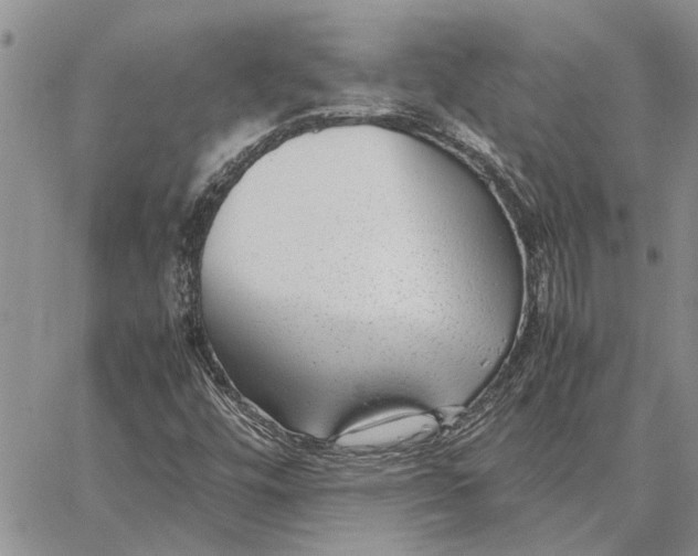 X0000062881448200602031730