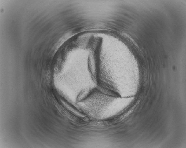 X0000062881457200602031729