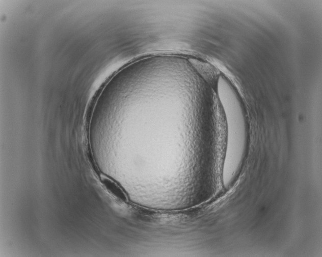 X0000062881469200602031729