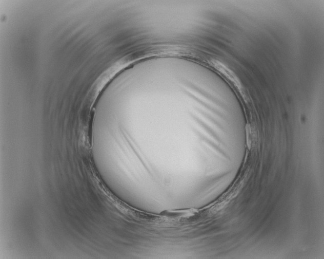 X0000062881481200602031729