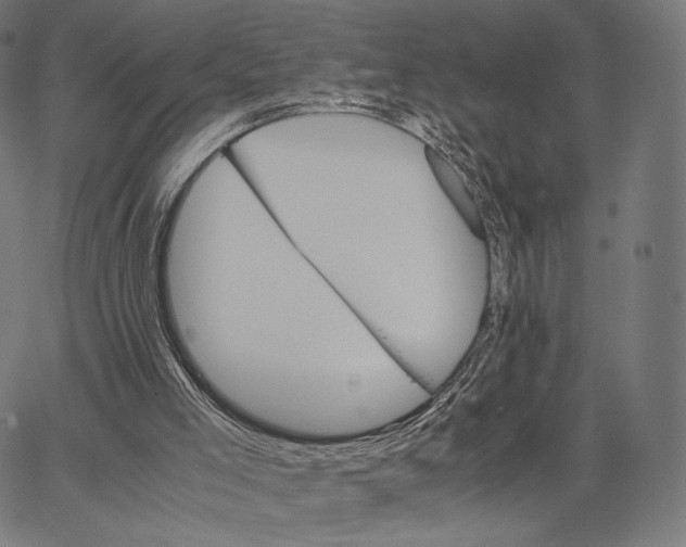X0000062880005200602101728