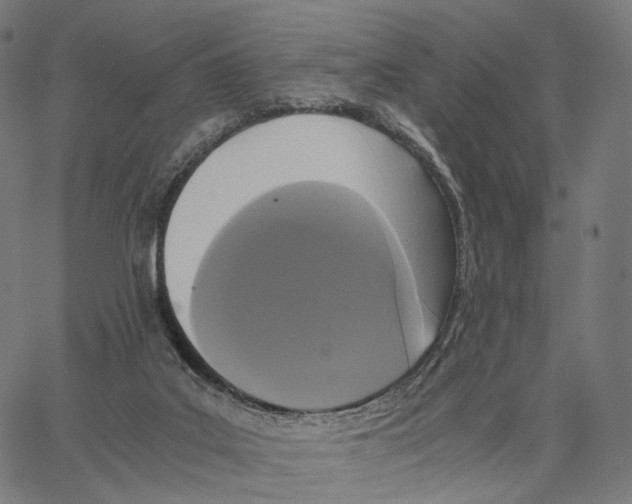 X0000062880019200602101728