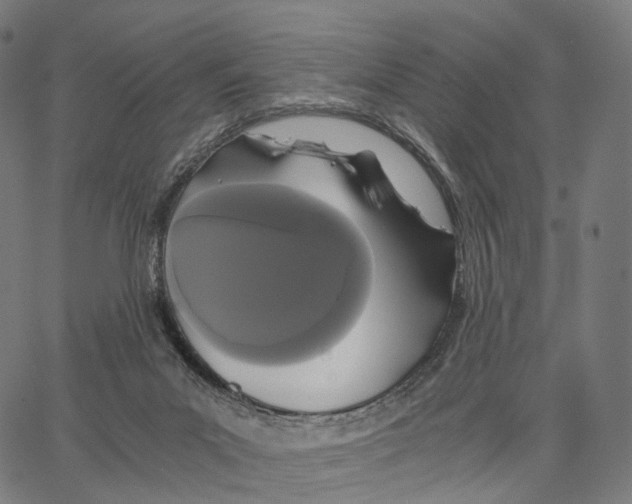 X0000062880023200602101728