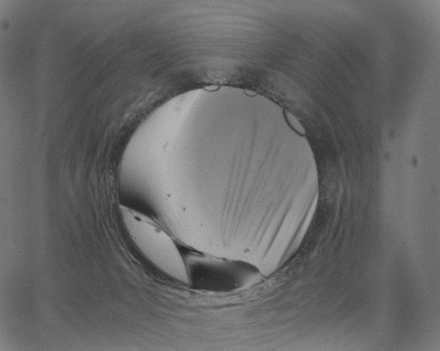 X0000062880031200602101727