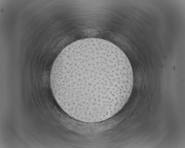 X0000062880034200602101727