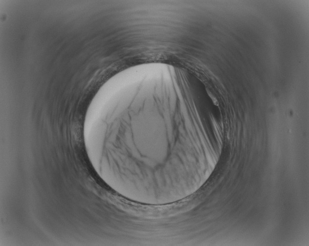 X0000062880035200602101727