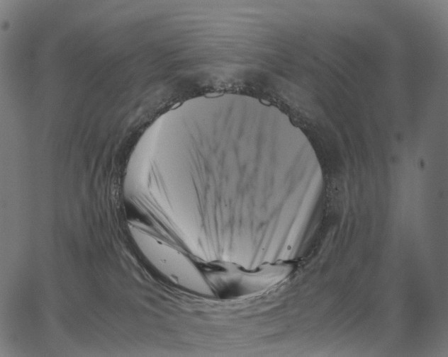 X0000062880039200602101727