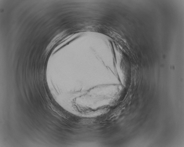 X0000062880051200602101726