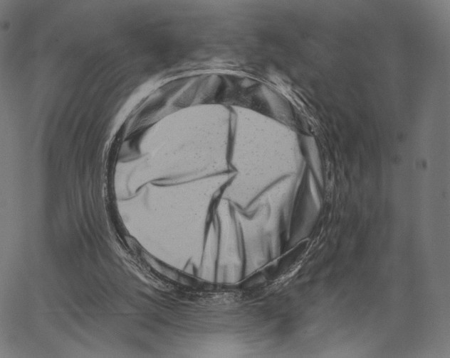 X0000062880056200602101726
