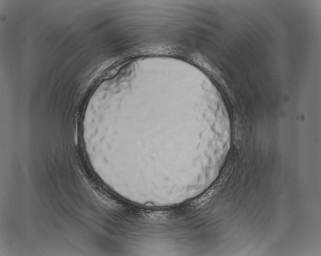 X0000062880062200602101727