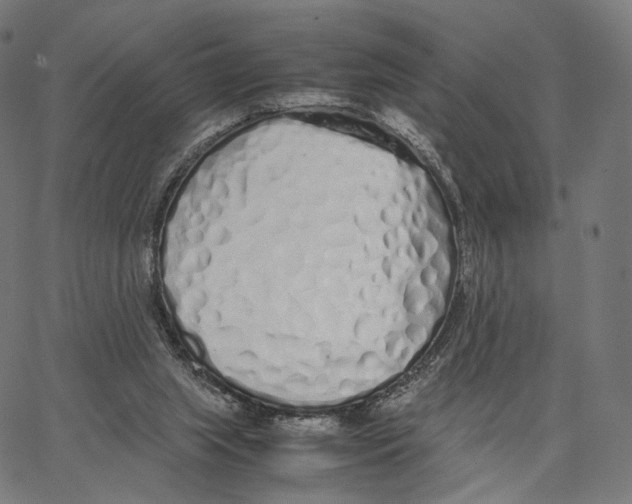 X0000062880063200602101727