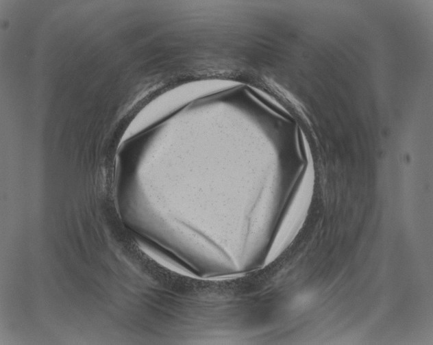 X0000062880067200602101727
