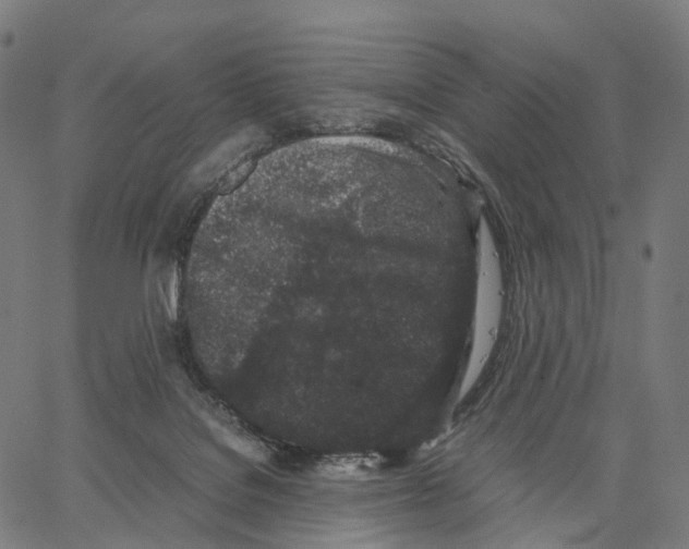 X0000062880076200602101727