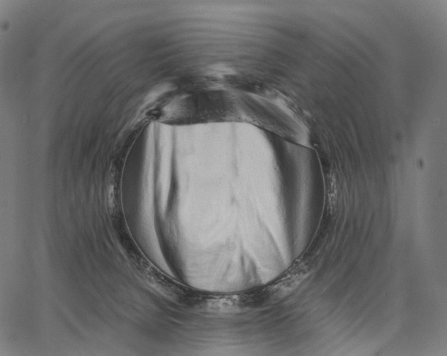 X0000062880080200602101727