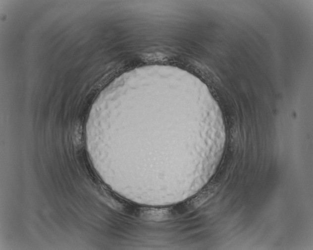 X0000062880081200602101727