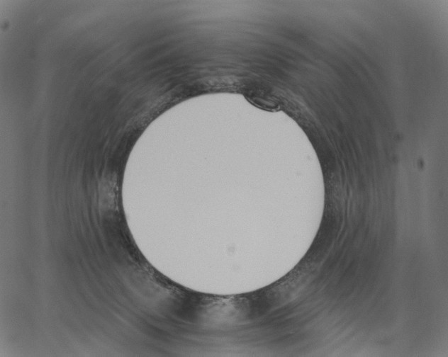 X0000062880083200602101727