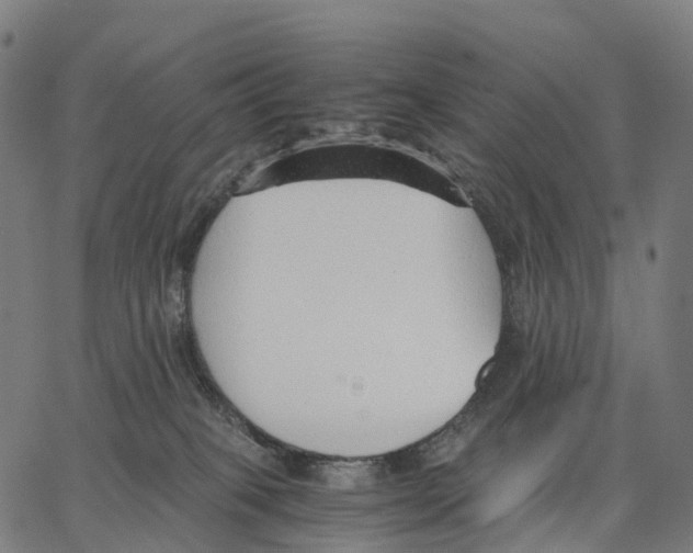 X0000062880085200602101727