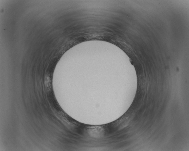 X0000062880087200602101727