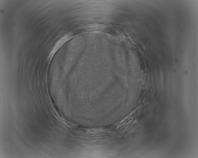 X0000062880099200602101726