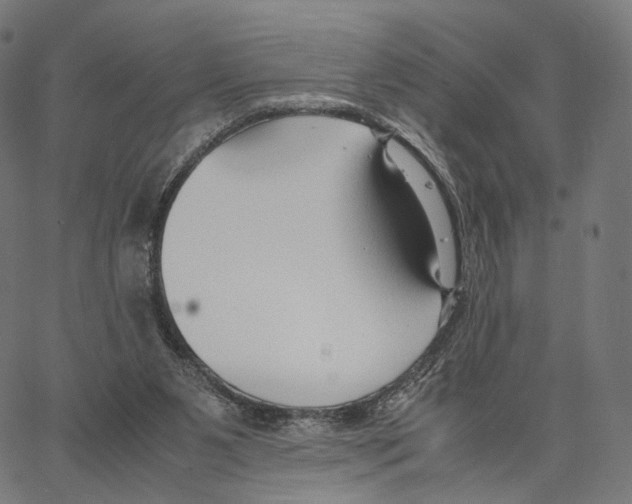 X0000062880111200602101726