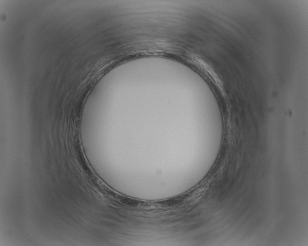 X0000062880113200602101726
