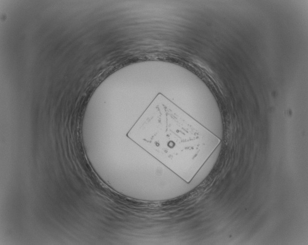 X0000062880121200602101726