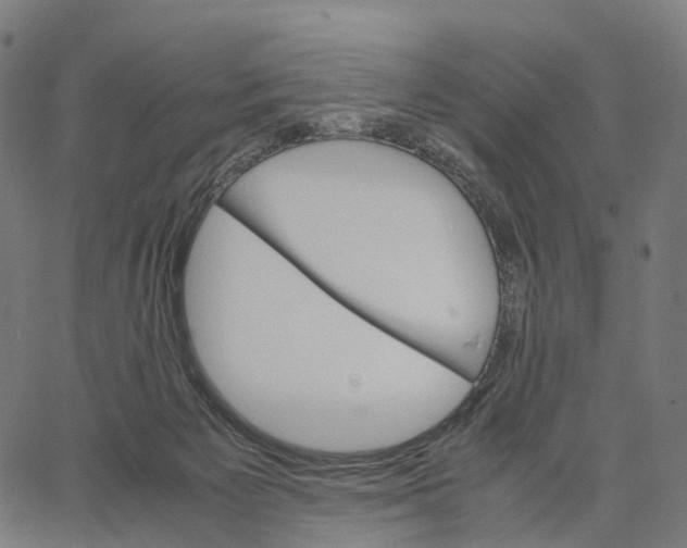 X0000062880125200602101726
