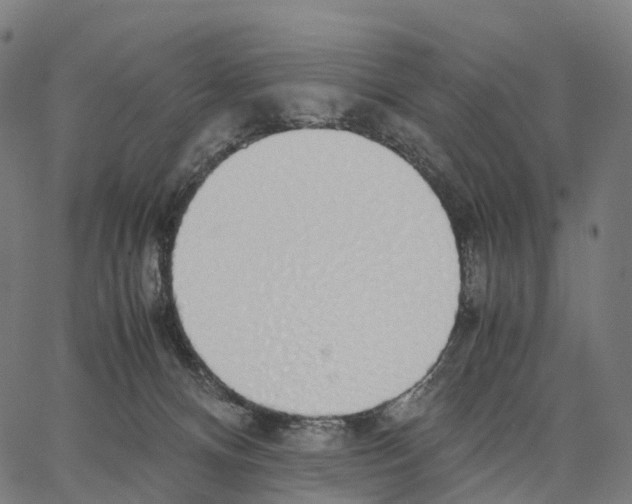 X0000062880128200602101726