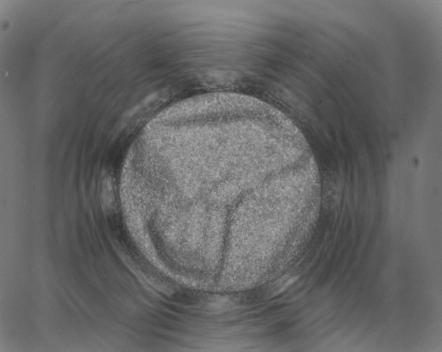 X0000062880130200602101726
