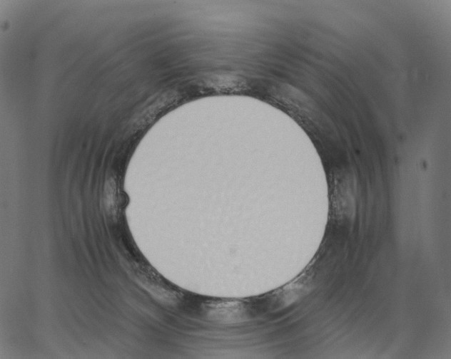 X0000062880132200602101726
