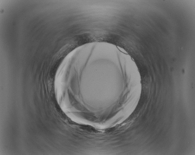 X0000062880139200602101726