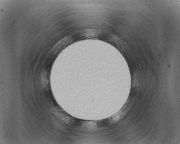 X0000062880140200602101726