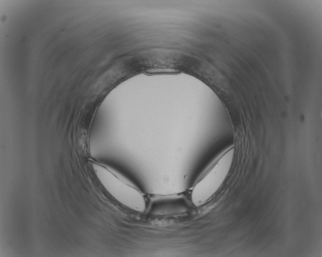 X0000062880141200602101726