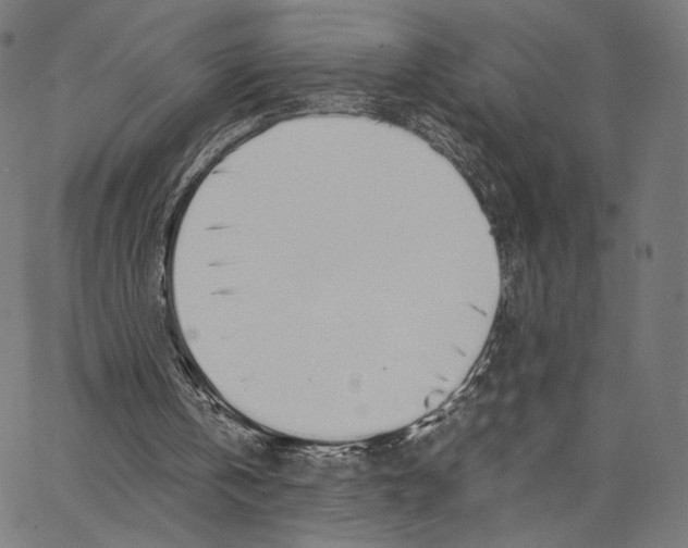 X0000062880146200602101725
