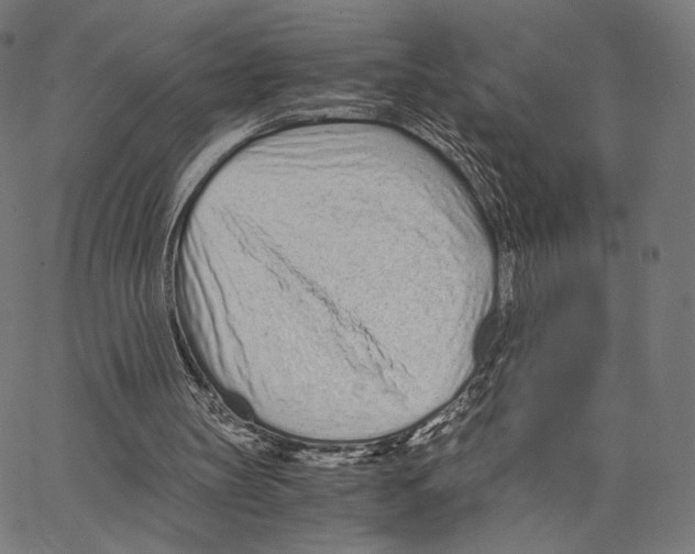 X0000062880147200602101725