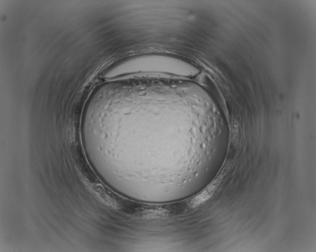 X0000062880158200602101725